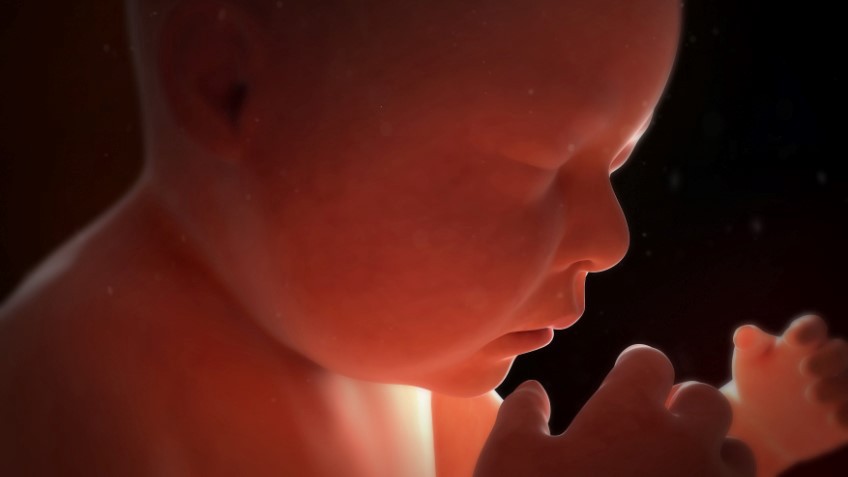 Image result for abortion